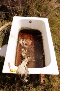 blood bath
